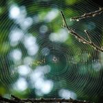 What is XSS, and Should We Worry About It?